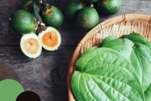 Beberapa Manfaat Rebusan Daun Sirih Yang Menakjubkan