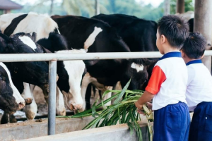 Manfaat Mengajak Siswa Berkunjung ke Wisata Edukasi