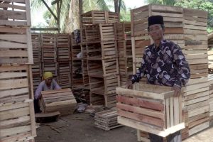 Perjuangan M Jinis merintis usaha peti buah kini berbuah manis