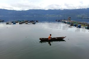 Capai 23.359 unit Keramba Jaring Apung di Danau Maninjau