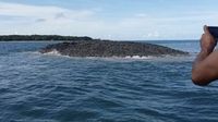 Fenomena Munculnya Pulau Baru Usai Gempa Maluku