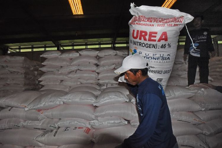 Abdya Aceh dapat tambahan kuota 450 ton pupuk bersubsidi
