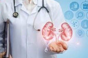 Fungsi Ginjal Dalam tubuh