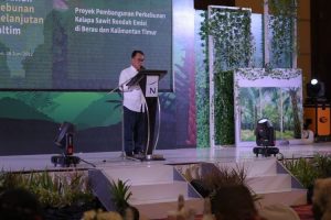 Disbun Kaltim Beri Apresiasi Program Pembangunan Perkebunan Rendah Emisi