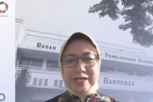 Bappenas siapkan “blue financing” kembangkan sektor kelautan