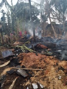 2 Sapi Dan 4 Kambing Terpanggang, Kerugian Capai 40 Juta.