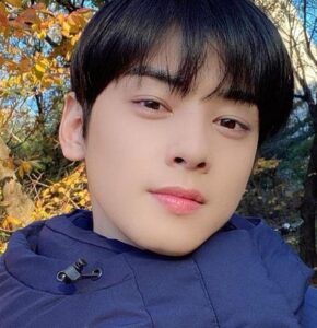 Cha Eun Woo: Aktor yang Hidupkan Tokoh Webtoon dengan Brilian