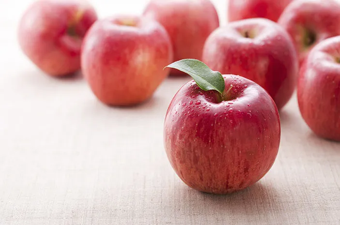 Apel adalah buah yang lezat dan sehat yang seringkali memiliki masa simpan yang cukup lama, asalkan Anda menyimpannya dengan benar. (sumber foto : Halodoc)