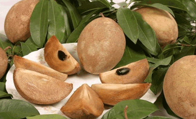 Ini 8 Kandungan Nutrisi yang ada pada Buah Sawo (sumber foto : BAMS)