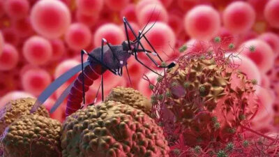 novasi Teknologi Wolbachia dalam Upaya Menurunkan Penyebaran Demam Berdarah Dengue di Indonesia