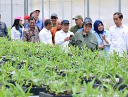 Presiden Joko Widodo dan Mentri Siti Nurbaya tinjau Persemaian Mentawir di Kalimantan Timur