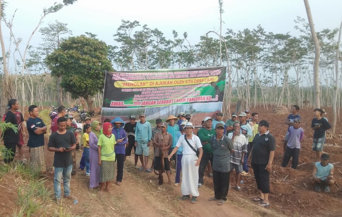 Kelompok Tani Hutan (KTH) Sumber makmur yang berasal dari Desa Sumbermulyo, Kecamatan Regaloh Kabupaten Pati, telah melakukan (Jurnalindo.com)