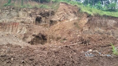 Rawan Bencana! 16,9 Ribu Hektar Lahan di Pati Alami Kerusakan
