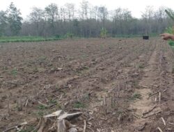 KPH Pati Sayangkan Lahan Hutan Sosial Desa Sumbermulyo DiJual Belikan.