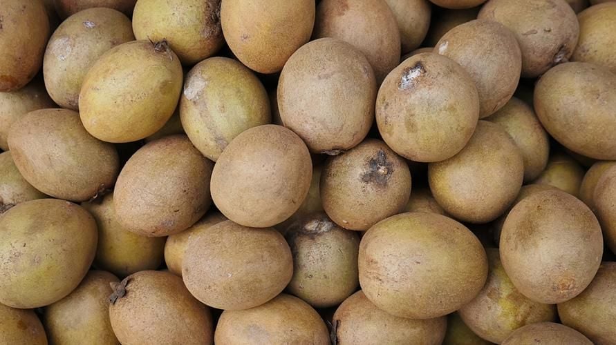 6 Manfaat Kesehatan Luar Biasa dari Buah Sawo (sumber foto : sehatQ)