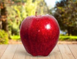 Alasan Mengapa Buah Apel Cocok Dikonsumsi Sebagai Bagian dari Diet Sehat