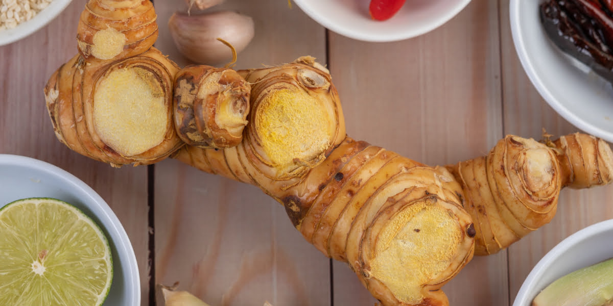 Ini Alasan Mengapa Penyanyi Sering Mengonsumsinya Kencur Sebelum Manggung (sumber foto : yoona.id)