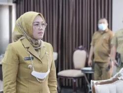 Anne Ratna Mustika: Dari Pernikahan Baru Hingga Perjalanan Karir Politik