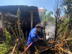 Kurang Kehati-hatian Membakar Sampah, Kandang Sapi di Margorejo Ludes Terbakar