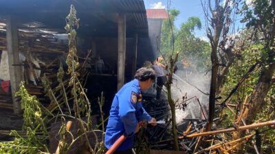 Kurang Kehati-hatian Membakar Sampah, Kandang Sapi di Margorejo Ludes Terbakar