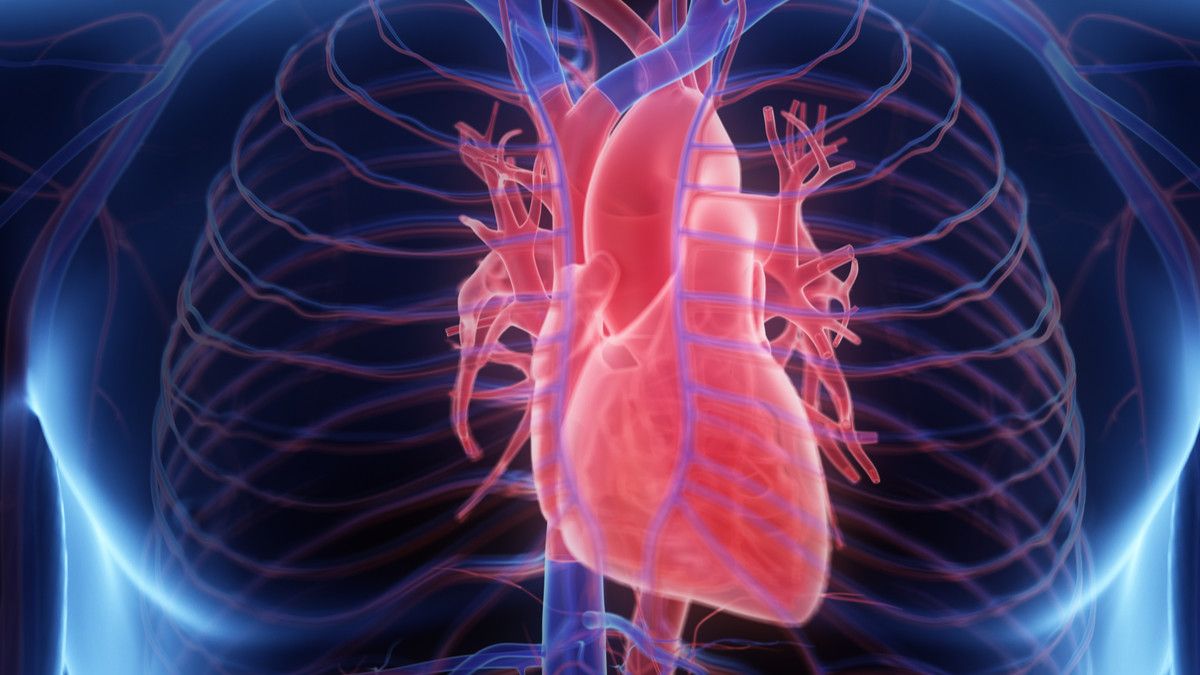 Jantung adalah mesin utama tubuh kita yang memiliki peran memompa darah dan mengalirkan oksigen ke seluruh bagian tubuh. Untuk menjaga kesehatan jantung, (Sumber foto: KlikDokter)