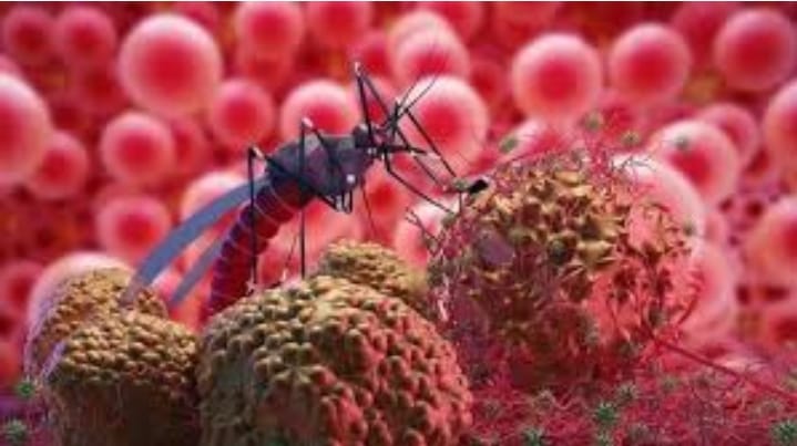 Dinas Kesehatan (Dinkes) Kabupaten Pati telah mencatat kasus Demam Berdarah Dengue (DBD) tahun 2023 sebanyak 445 kasus. Jumlah tersebut mengalami penurunan