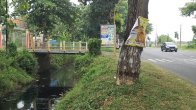 Jembatan yang dibangun diatas Sungai Simo arah Juwana hampir semuanya tak memiliki izin. Ditambah lagi berdirinya jembatan tersebut menjadi salah satu penyebab (Jurnalindo.com)