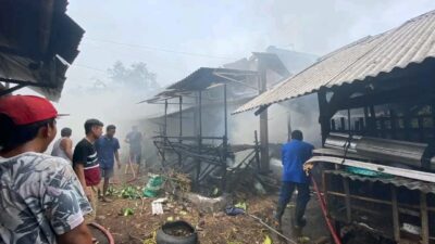 Dalam sehari kebakaran di Kabupaten Pati sebanyak dua lokasi. Yang pertama kebakaran pada Minggu (21/1). Pukul 11.45 WIB. Sebuah kandang ternak milik Ali Maslikan (Jurnalindo.com)