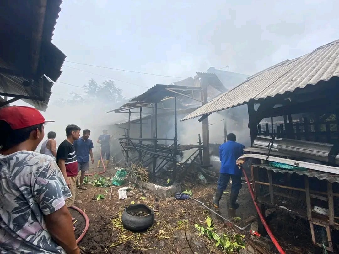 Dalam sehari kebakaran di Kabupaten Pati sebanyak dua lokasi. Yang pertama kebakaran pada Minggu (21/1). Pukul 11.45 WIB. Sebuah kandang ternak milik Ali Maslikan (Jurnalindo.com)