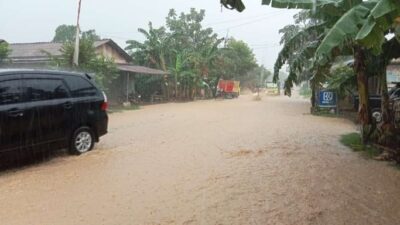 Setiap musim hujan tiba, Desa Sendangrejo, Kecamatan Tayu menjadi langganan banjir. Hal itu disebabkan karena drainasenya jalan tersebut sangat buruk. Akibatnya hanya (Jurnalindo.com)