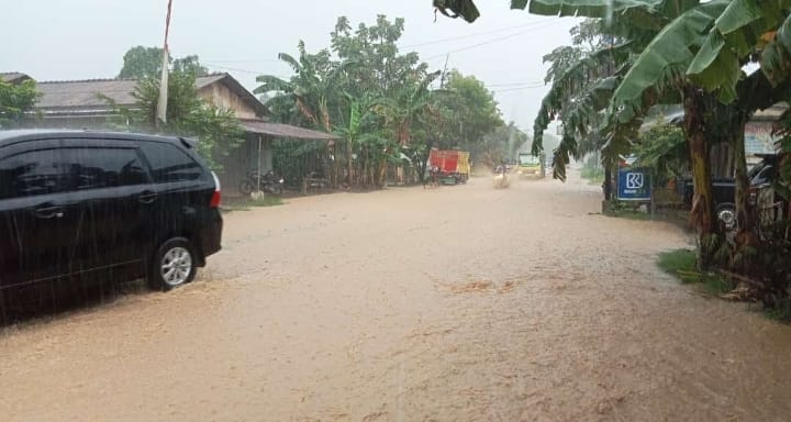 Setiap musim hujan tiba, Desa Sendangrejo, Kecamatan Tayu menjadi langganan banjir. Hal itu disebabkan karena drainasenya jalan tersebut sangat buruk. Akibatnya hanya (Jurnalindo.com)