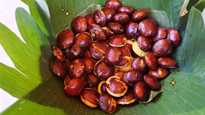 Jengkol merupakan salah satu buah yang memiliki bau kontroversial namun kaya akan manfaat kesehatan, telah lama menjadi bagian dari berbagai hidangan tradisional di Indonesia. (Sumber foto : Orami)