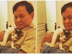 Bobby, Kucing Kesayangan Prabowo Subianto: Apakah Akan Tinggal di Istana?