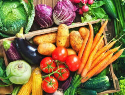 8 Manfaat Luar Biasa Konsumsi Sayuran Hijau untuk Kesehatan Tubuh