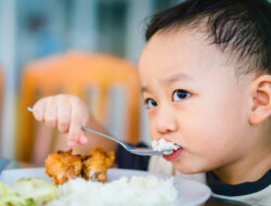 Anak Hanya Mau Makan Nasi Putih Tanpa Lauk? Yuk Cari Tahu Mengapa Hal Ini Bisa Terjadi
