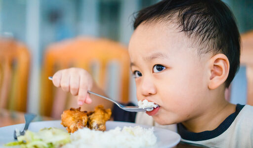 Anak Makan Nasi Saja (Sumber Foto. diarybunda.co.id)