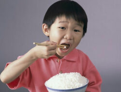 8 Solusi Mudah Menangani Anak yang Hanya Mau Makan Nasi untuk Memenuhi Kebutuhan Nutrisinya