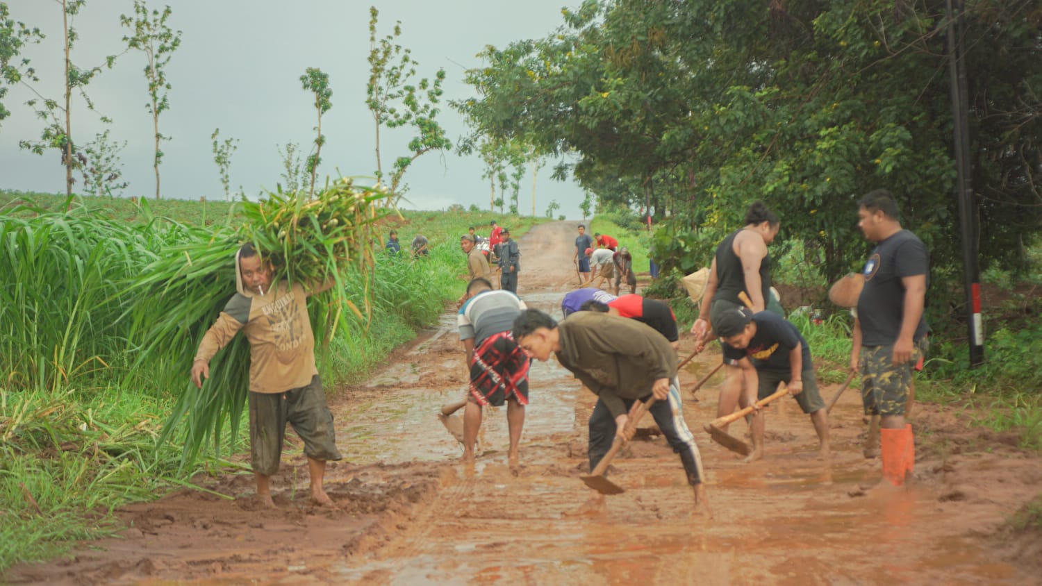 Sepanjang jalan Puncel-Wedusan, kecamatan Dukuhseti, Kabupaten Pati, kondisi drainasenya sangat buruk disebabkan tertutup tanah. Sehingga ketika musim hujan (Jurnalindo.com)