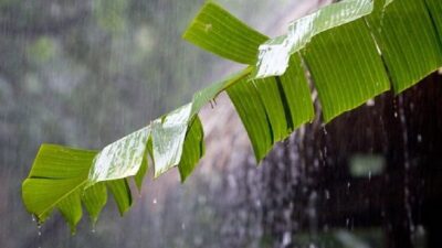 Tips Mengisi Waktu saat Hujan Turun Terus Menerus agar Tidak hanya Rebahan di Rumah