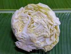 Mengenal Perbedaan Antara Kubis Putih dan Kubis Merah