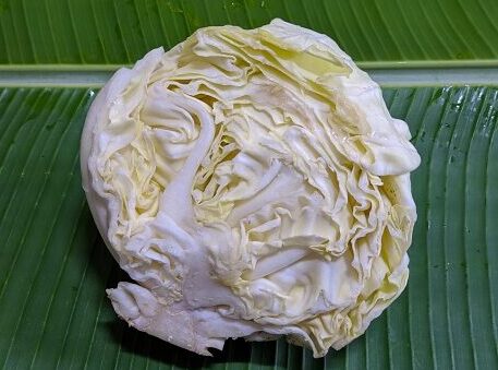 Kubis putih (Sumber Foto..istockphoto.com)
