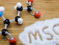 Tips Bijak Konsumsi MSG serta Dampaknya bagi Kesehatan