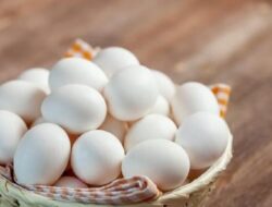 5 Manfaat Telur Ayam Kampung bagi Kesehatan yang Jarang Diketahui