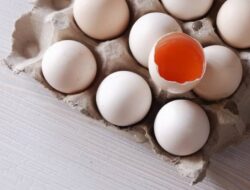 Kelebihan Telur Ayam Kampung Dibandingkan Telur Ayam Negeri