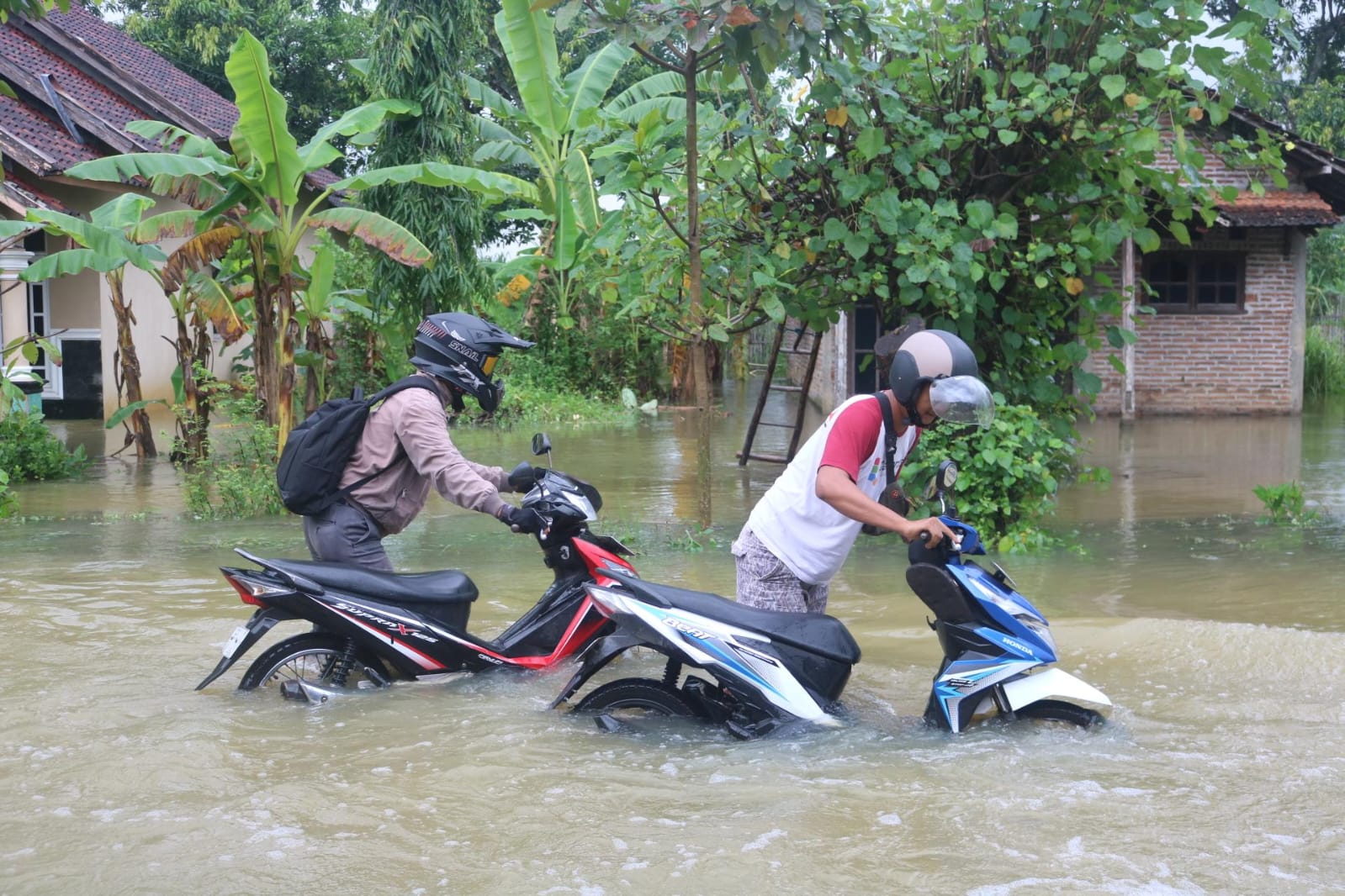Hujan deras yang mengguyur kabupaten Pati beberapa hari ini menyebabkan banjir dengan ketinggian air mencapai 60 cm. Akibatnya arus lalu lintas (Jurnalindo.com)