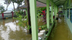 Hujan deras yang mengguyur wilayah kabupaten Pati seminggu belakangan ini mengakibatkan puluhan sekolah terendam banjir. Atas kejadian (Jurnalindo.com)