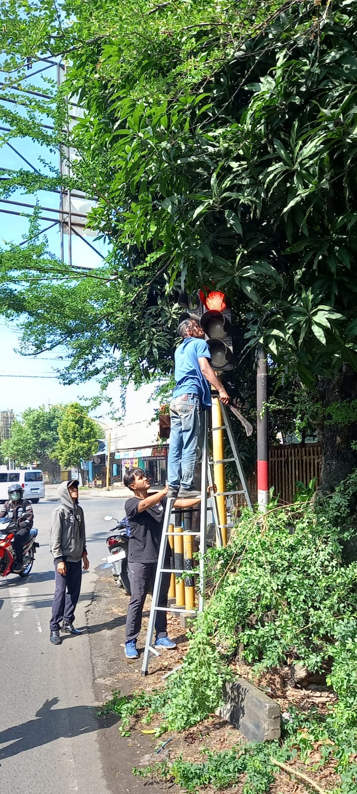 Menindaklanjuti aduan dari masyarakat terkait beberapa lampu lalu lintas (bangjo) yang tertutup ranting pohon. Dinas Perhubungan (Dishub) Kabupaten (Jurnalindo.com)