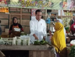 Jokowi Tak Tanggapi Kritik Rakernas V PDIP, Anggap Sebagai Urusan Internal Partai