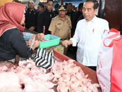 Tanggapan Jokowi terhadap Dukungan Relawan untuk Kapolda Jateng Ahmad Luthfi di Pilkada Jateng 2024