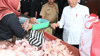 PDIP Mencium Indikasi Cawe-Cawe Jokowi di Pilkada Serentak 2024